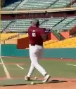 Diego Andres Rivera López GRIQ Baseball Analysis Report