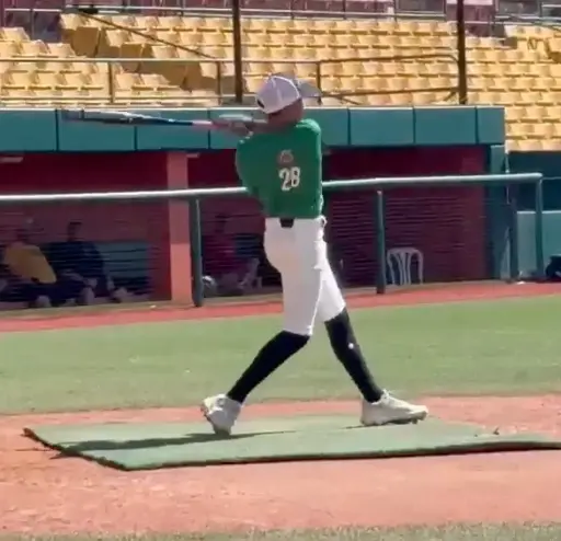 Neftali Omar Valentin Matos GRIQ Baseball Analysis Report