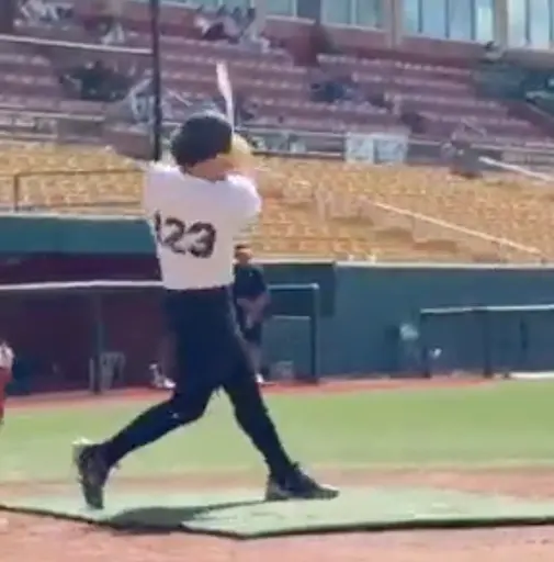 Hecdyel Rosario Rodríguez GRIQ Baseball Analysis Report