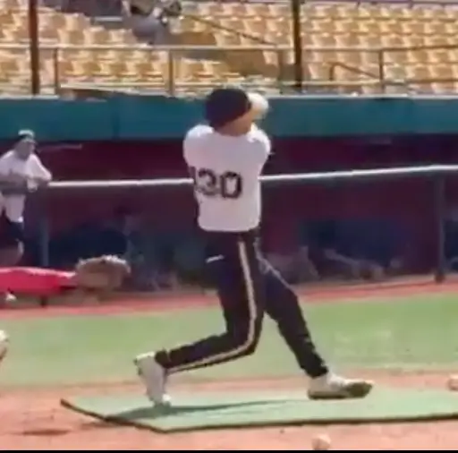 Eliam L Baez Maldonado GRIQ Baseball Analysis Report