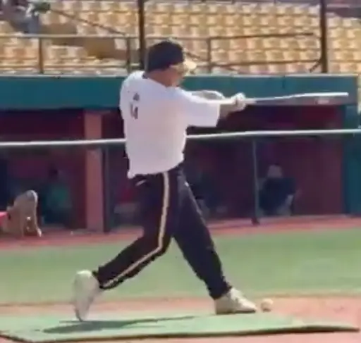 Yatzel Alvelo GRIQ Baseball Analysis Report